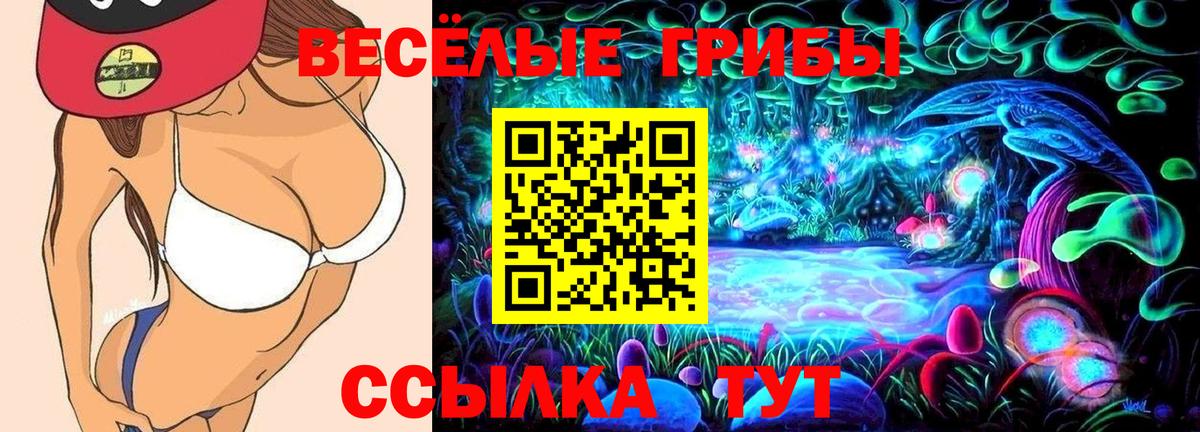 Кировск  Псилоцибиновые грибы ЛСД  Вход с VPN 